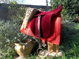 Antiquité équestre : Équipement du cheval